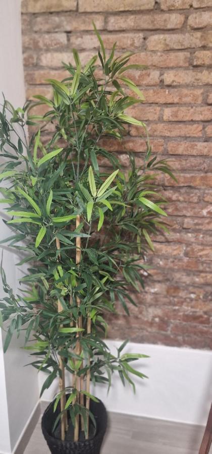 Barcelona,Apartamento Con Terraza Apartman L'Hospitalet de Llobregat Kültér fotó